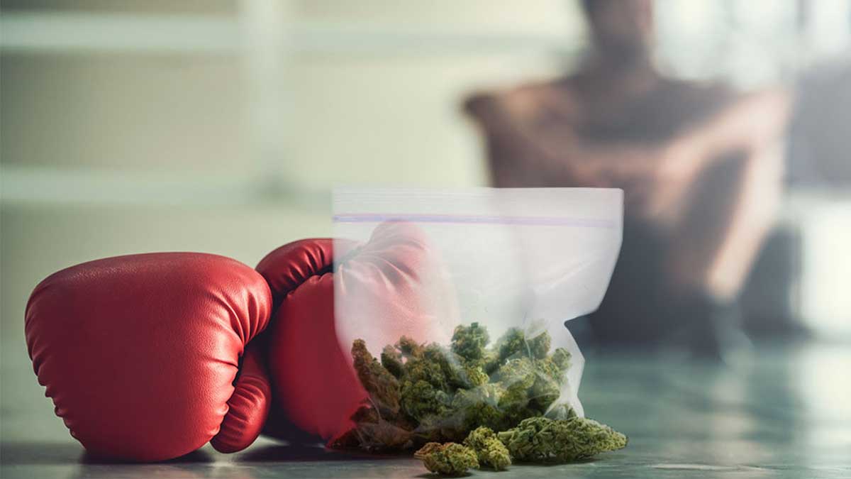 Thailand's New Weed Boxing Championship Requires Boxers to Get High Before Fighting