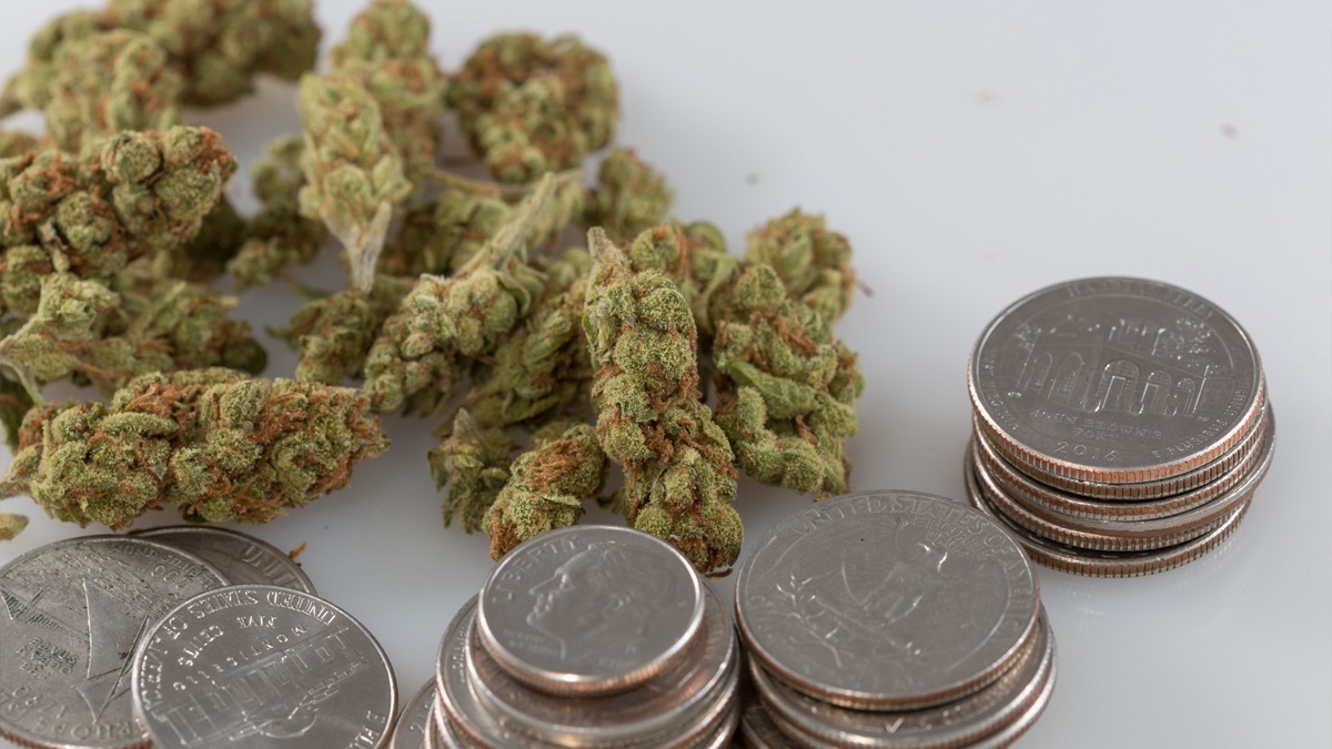 South Dakota Will Increase Cost Of Medical Marijuana Business Licenses By 70%