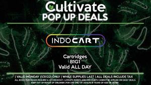 INDO (M) Cartridges B1G1 Valid ALL DAY