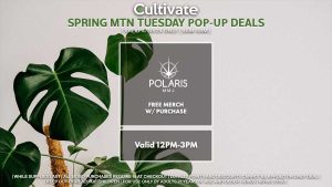 Polaris Las Vegas Cultivate Spring Mountain Pop-up
